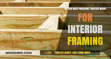 Is Pressure-Treated Wood Necessary for Interior Framing?