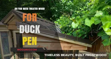 Choosing the Right Wood for Your Duck Pen: Treated vs. Untreated