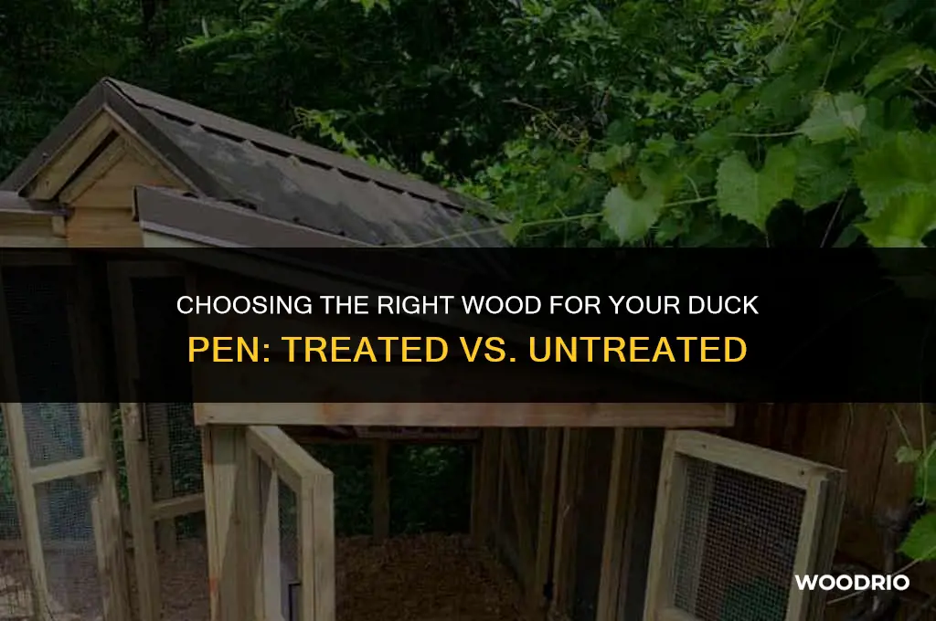 do you need treated wood for duck pen