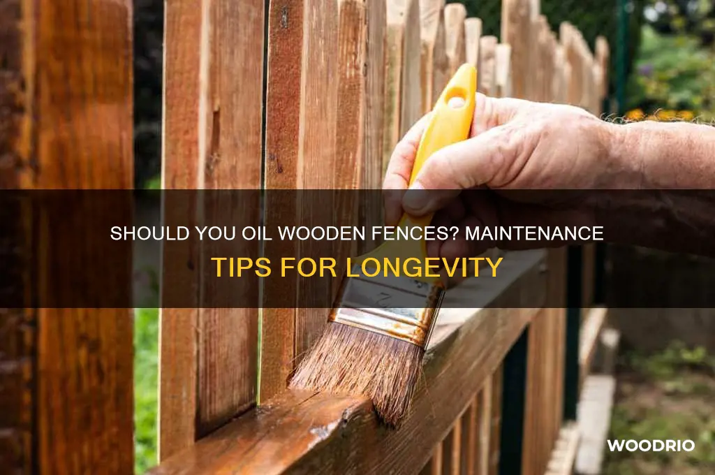 do you oil wooden fences