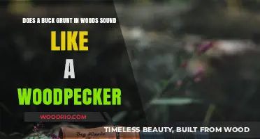 Nature's Symphony: Decoding the Sounds of Bucks and Woodpeckers in the Woods