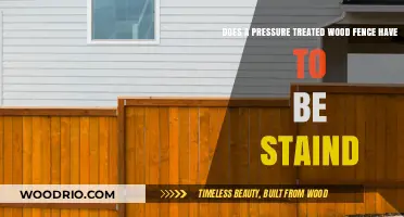 Should You Stain Pressure-Treated Wood Fences? Essential Maintenance Tips