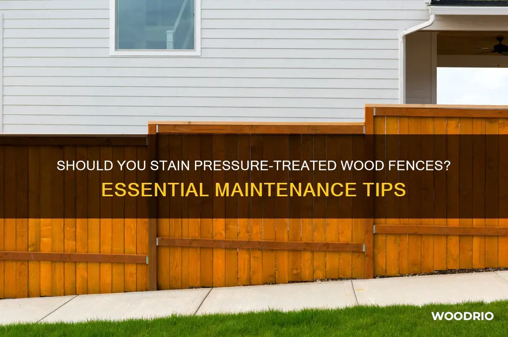 does a pressure treated wood fence have to be staind