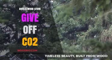 Exploring the Environmental Impact: Do Wood Stoves Emit CO2?