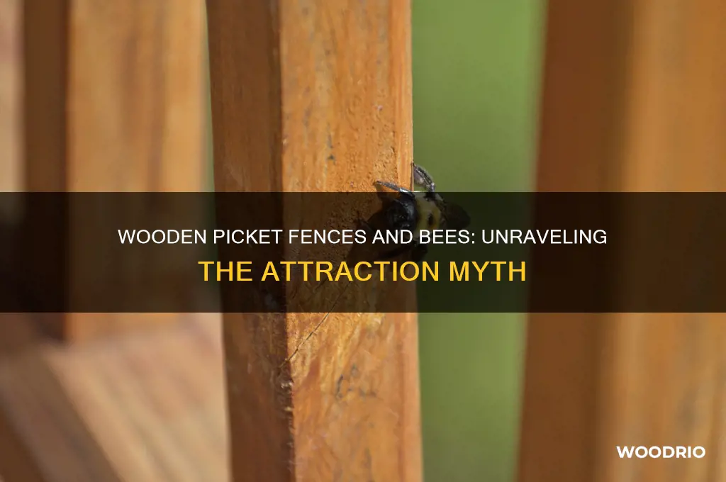 does a wooden picket fence attract bees