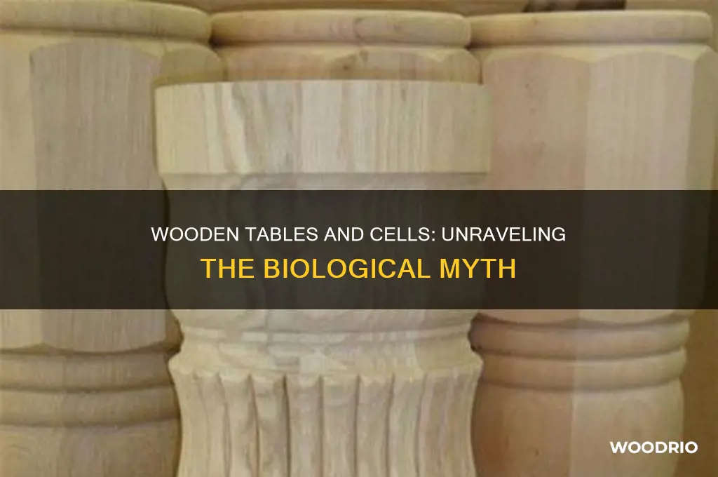 does a wooden table have cells