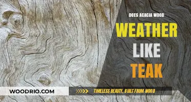 Acacia vs. Teak: Weathering Comparison for Outdoor Furniture