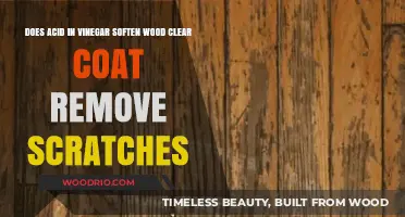 Vinegar's Acidic Power: Softening Wood and Removing Scratches from Clear Coats