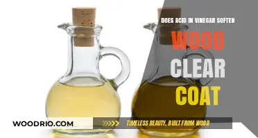Vinegar's Acidic Power: Softening Wood Clear Coat Naturally