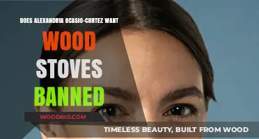 Exploring AOC's Stance on Wood Stoves: Facts vs. Myths