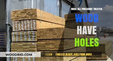 Exploring the Truth: Not All Pressure-Treated Wood Has Holes