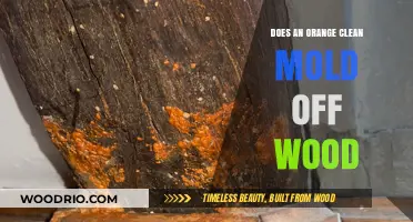 Natural Cleaning Power: Can Oranges Tackle Mold on Wood?