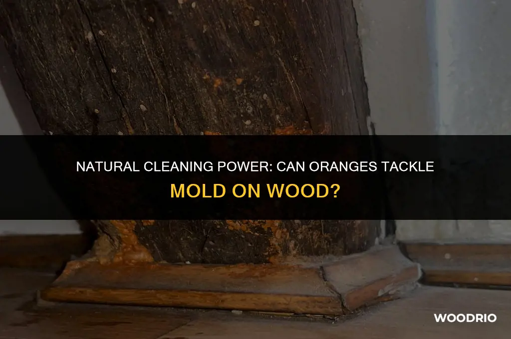does an orange clean mold off wood