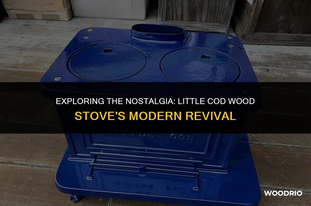 does anyone make the little cod wood stove