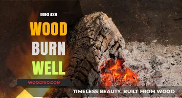 Exploring the Burning Qualities of Ash Wood: A Comprehensive Guide