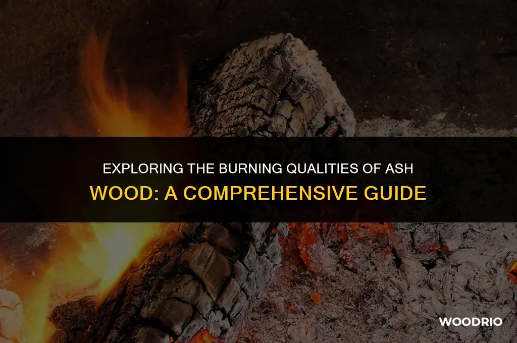 does ash wood burn well