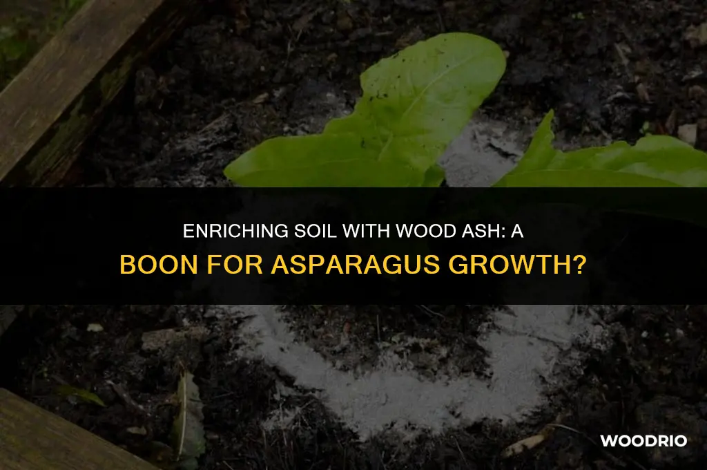 does asparagus like wood ash