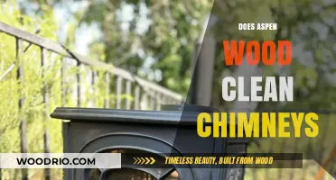 The Surprising Truth About Aspen Wood for Chimney Cleaning