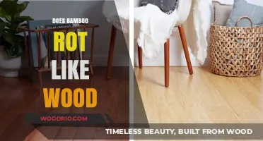 Does Bamboo Rot Like Wood: A Comprehensive Guide to Bamboo Durability