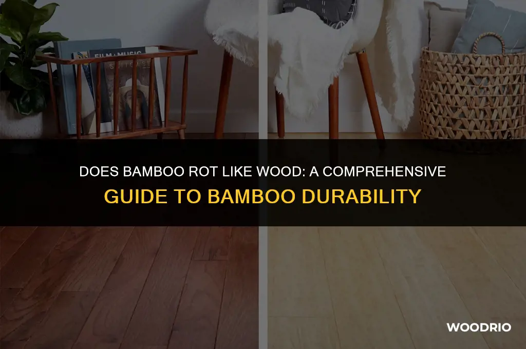 does bamboo rot like wood