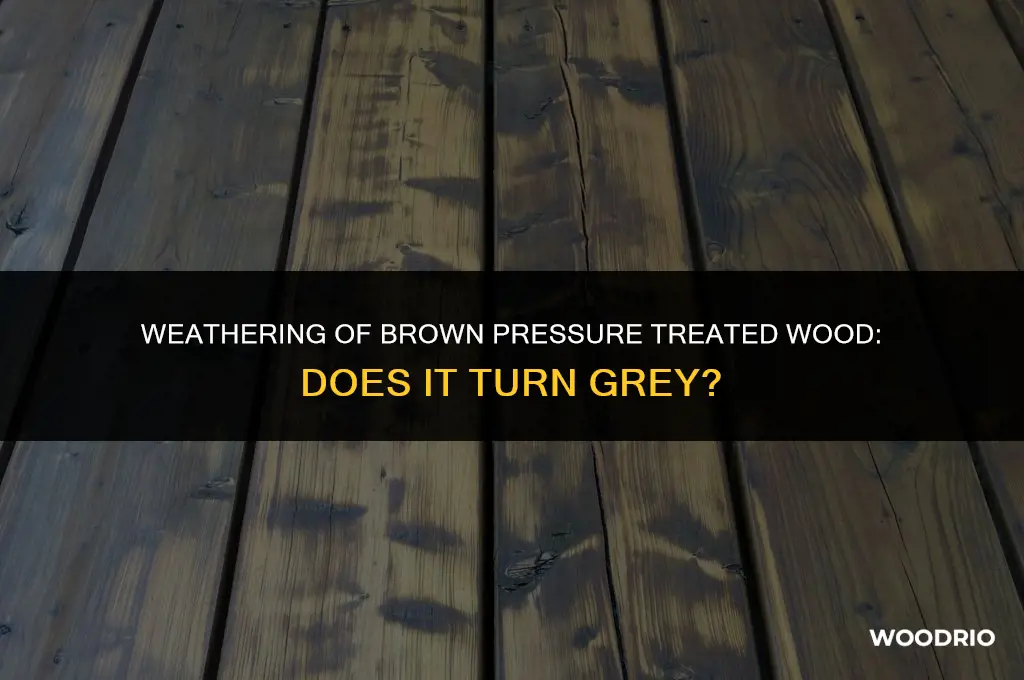 does brown pressure treated wood turn grey