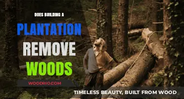 Sustainable Agriculture: Balancing Plantation Development and Forest Conservation