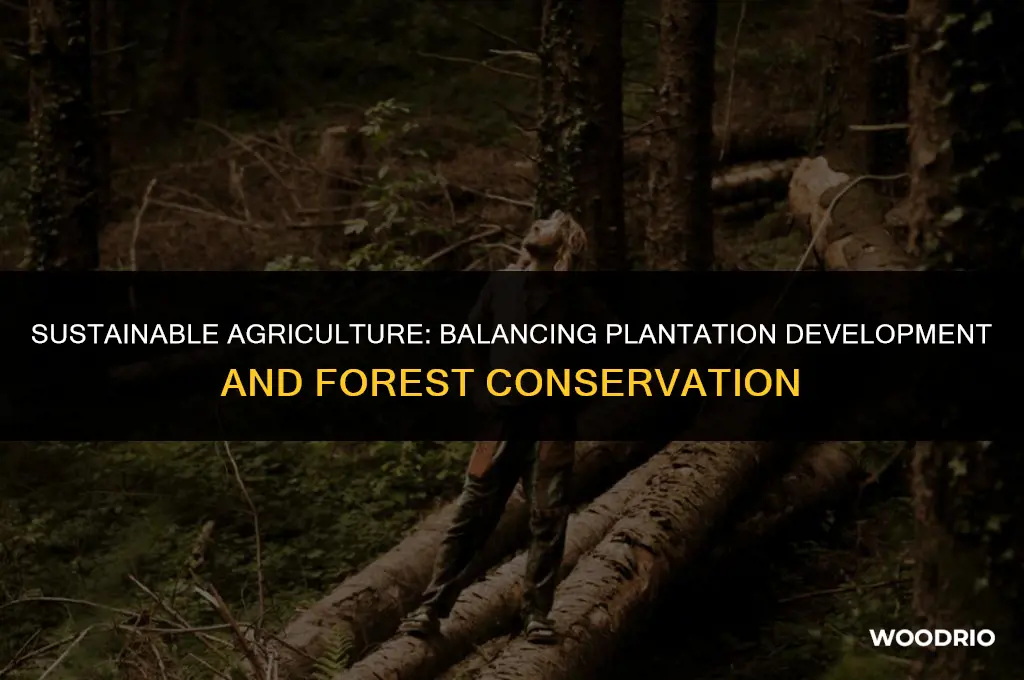 does building a plantation remove woods