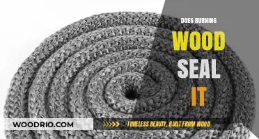 Exploring the Myth: Does Burning Wood Truly Seal It?