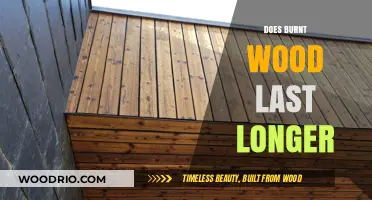 Burnt Wood Durability: Does Charred Timber Outlast Untreated Wood?