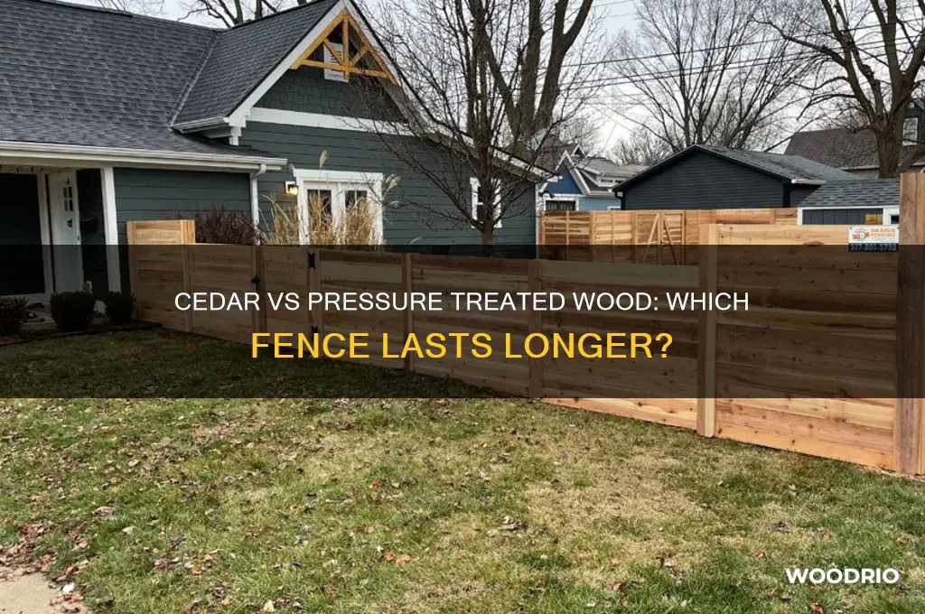 does cedar fence last longer than pressure treated wood