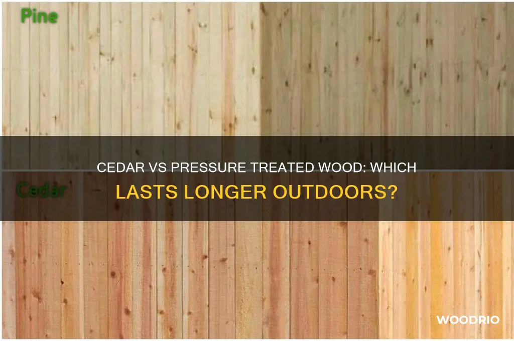 does cedar last longer than pressure treated wood