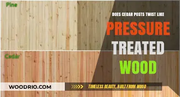 Comparing Cedar and Pressure-Treated Wood: Which One Twists More?