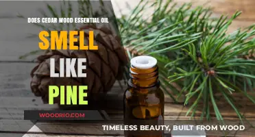 Unveiling the Aromatic Mystery: Cedarwood vs. Pine Essential Oils