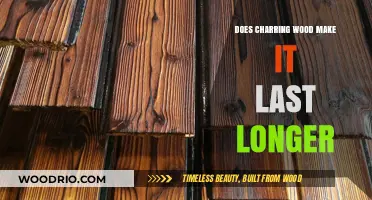 Charring Wood: Enhancing Durability and Longevity Through Ancient Techniques