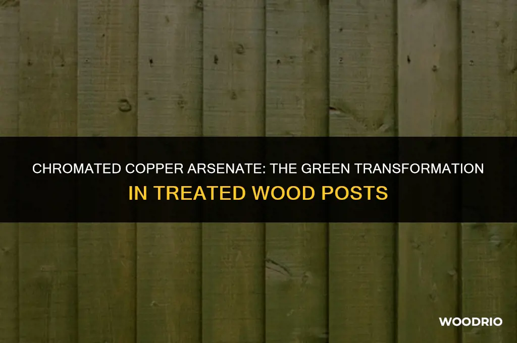 does chromated copper arsenate turn green in treated wood posts
