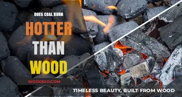 Exploring Combustion: Does Coal Burn Hotter Than Wood?