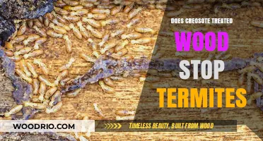 Termite Resistance of Creosote-Treated Wood: A Comprehensive Guide