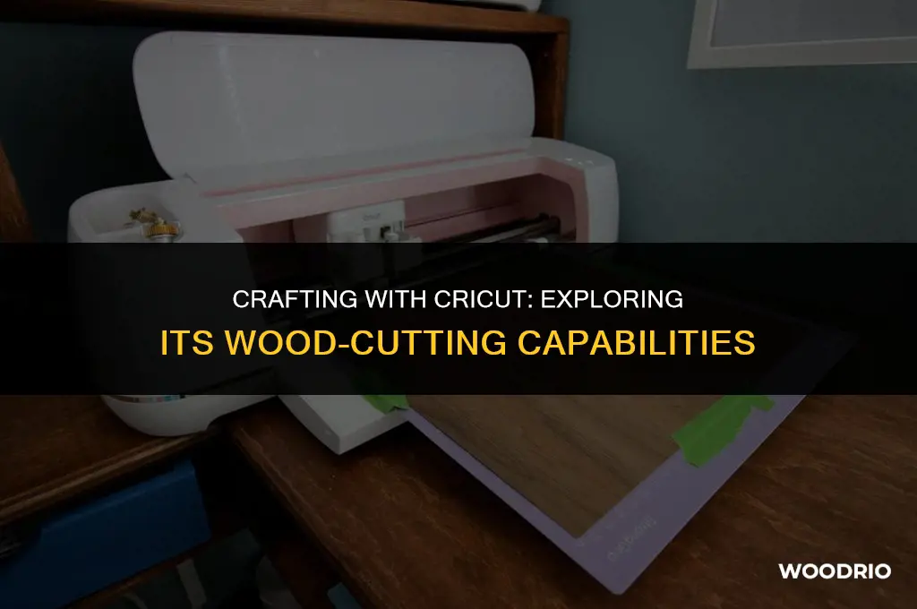 does cricut cut wood