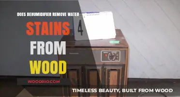 Reviving Wood: Dehumidifier's Role in Removing Water Stains