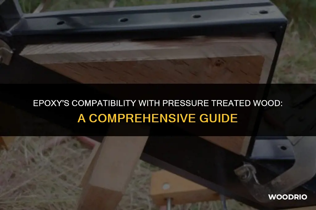 does epoxy work on pressure treated wood