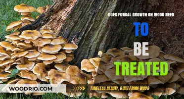 Addressing Fungal Growth on Wood: Treatment Necessity Explored