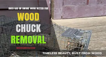 Effective Woodchuck Removal: Gas vs. Smoke - Which Works Best?