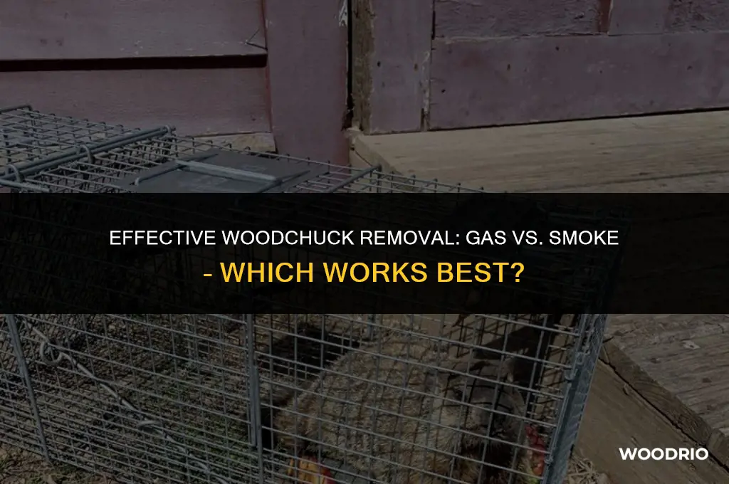does gas or smoke work better for wood chuck removal