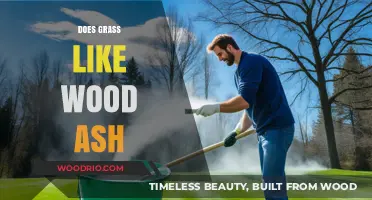Does Grass Like Wood Ash? Exploring the Benefits and Risks