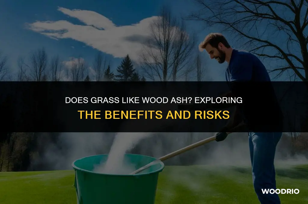 does grass like wood ash