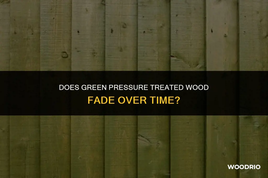 does green pressure treated wood fade