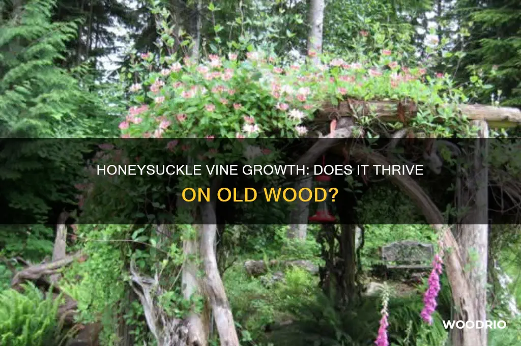 does honeysuckle vine grow on old wood