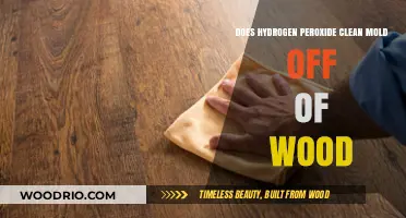 Effective Mold Removal: Hydrogen Peroxide's Role in Wood Cleaning