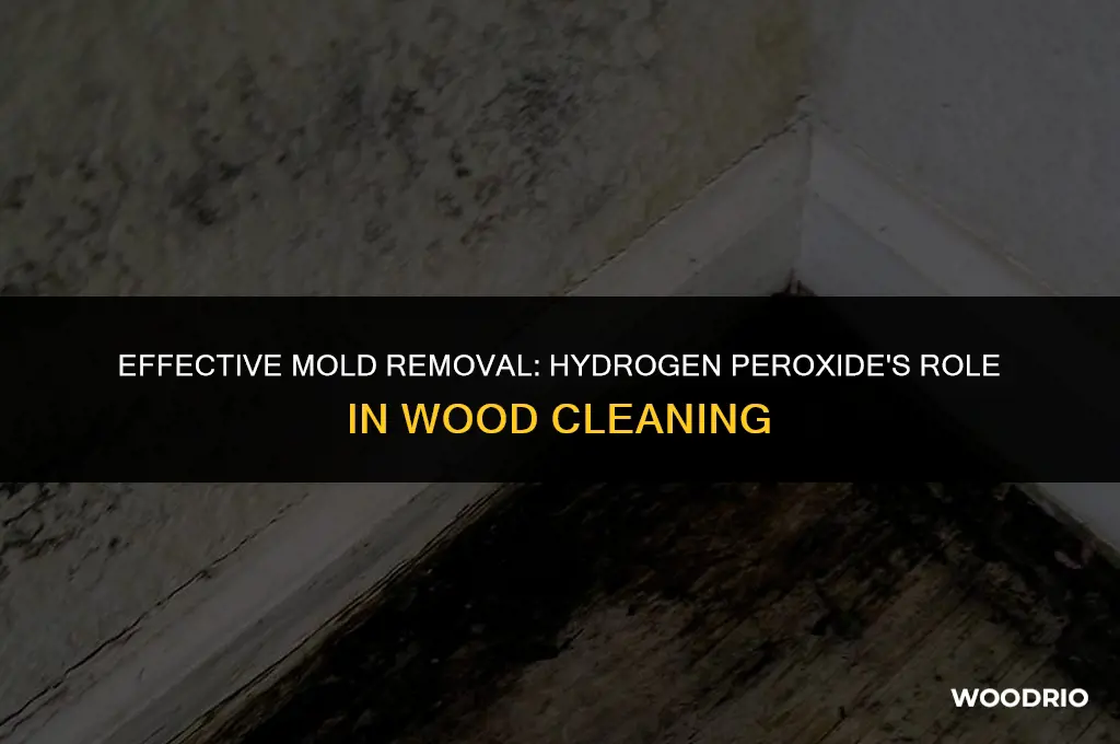 does hydrogen peroxide clean mold off of wood