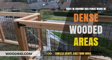In-Ground Dog Fences in Dense Woods: Do They Really Work?